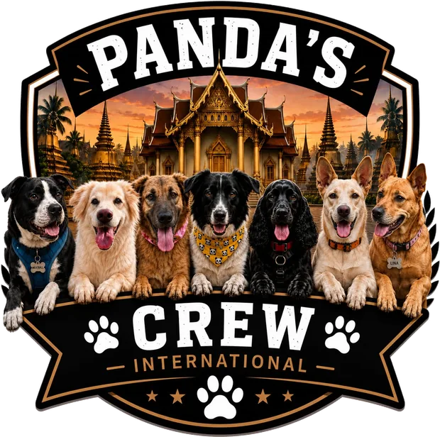 Panda's Crew International